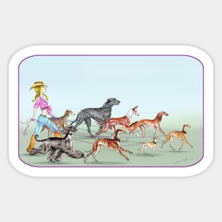 Country Girl. Walking the Sighthounds 2 Sticker